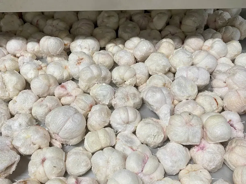 Freeze-dried mangosteen segments, KHAMACO Vietnam