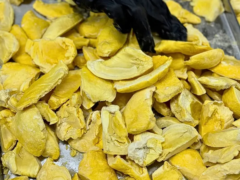 Black-gloved hand working over a tray of fresh yellow durian flesh.
