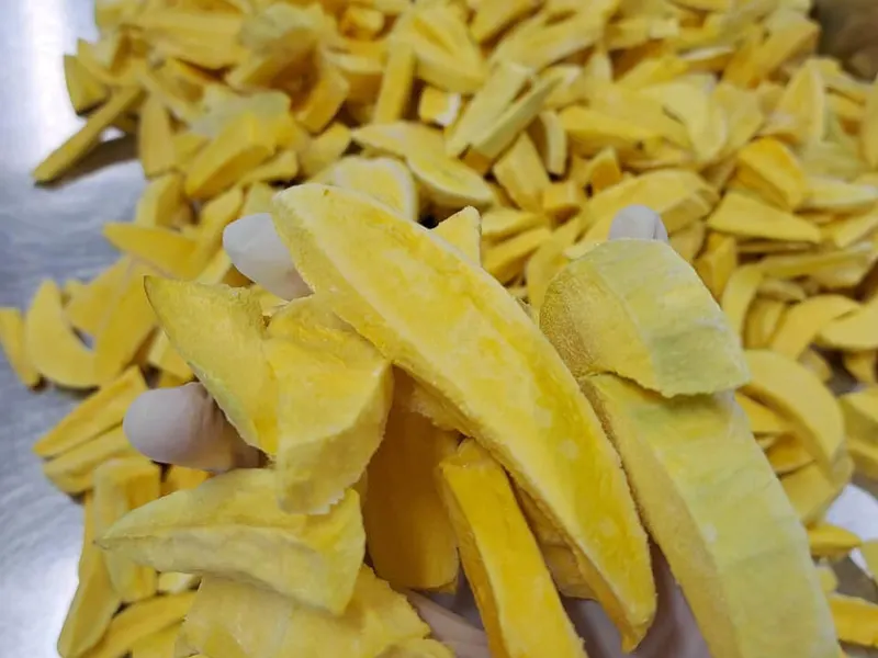 Hand holding a fistful of freeze-dried mango sticks above the batch.