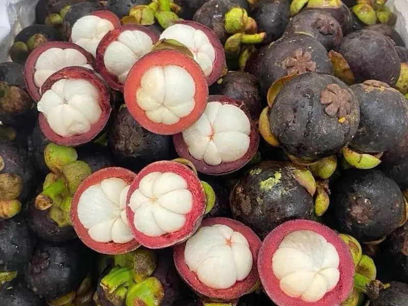 Pile of fresh mangosteens with several cut open to reveal white segments.
