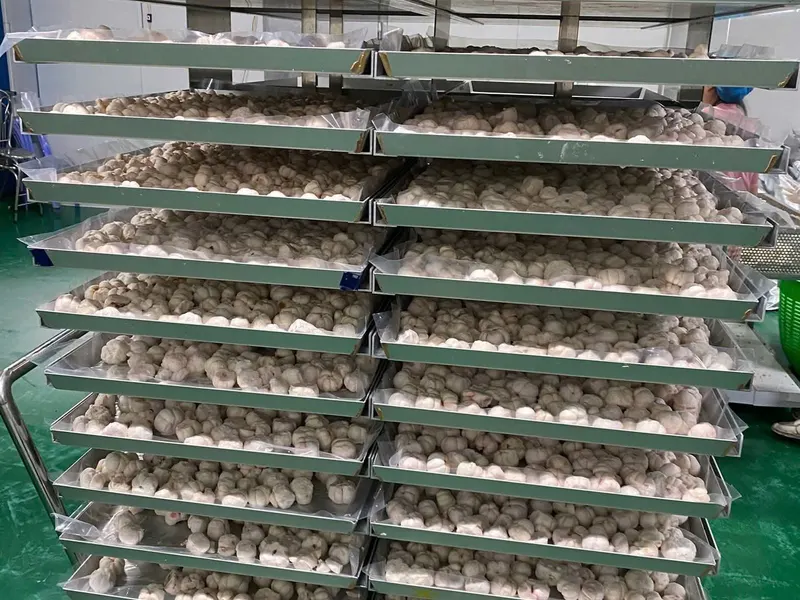 Multi-tier trolley of trays loaded with white mangosteen segments awaiting freeze-drying.