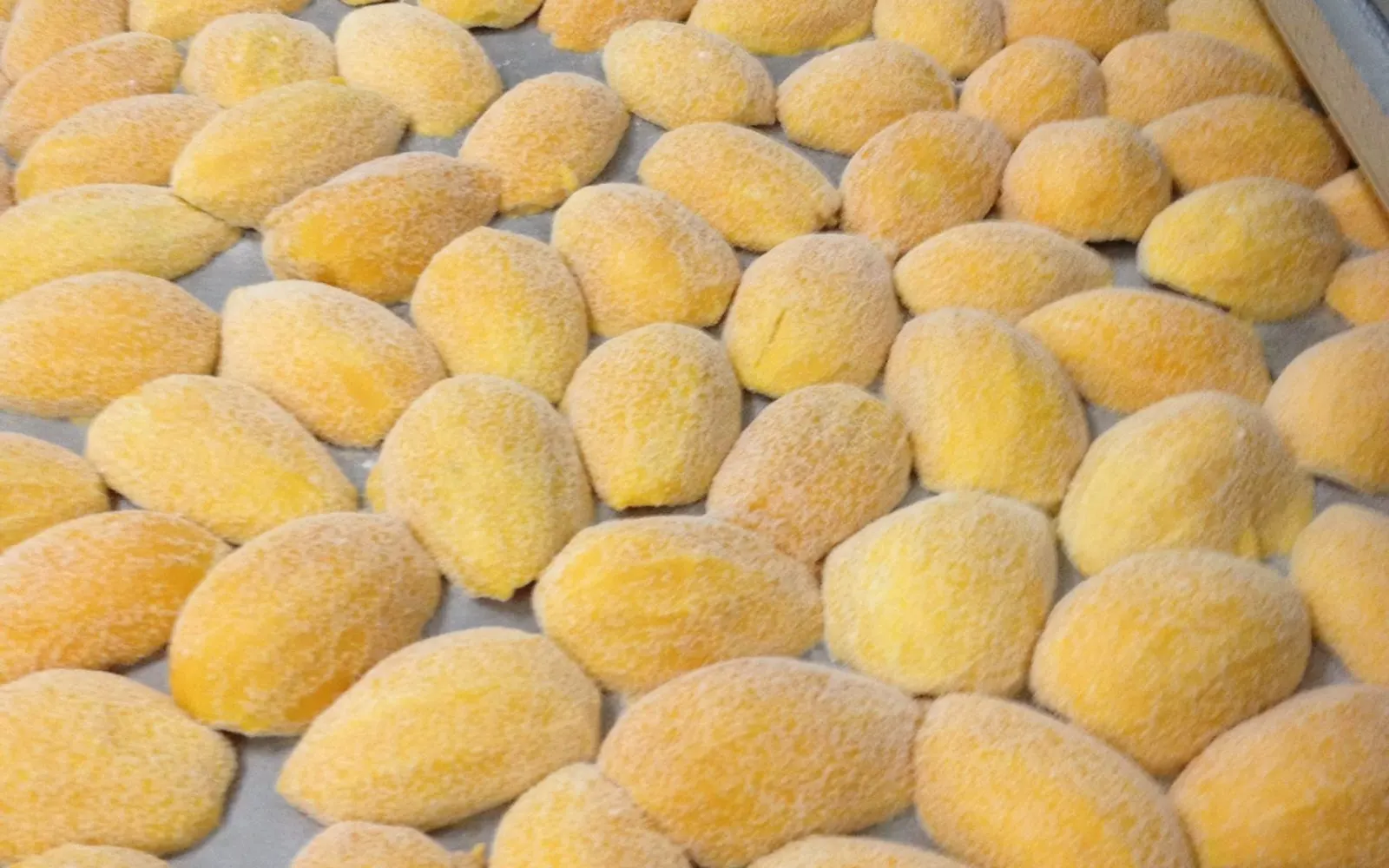 Large tray covered with a single layer of frozen mango cheeks.