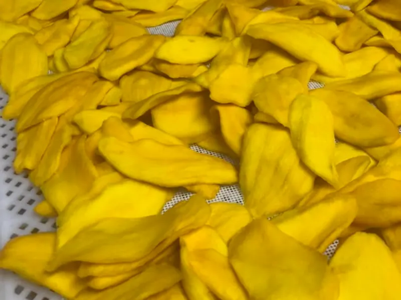 White mesh tray fully covered with soft-dried mango slices.