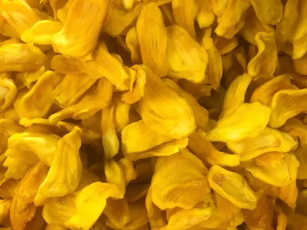Frame filled with fresh golden jackfruit bulbs.